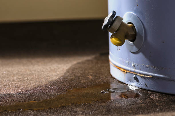 Best Professional water damage repair  in Albion, PA