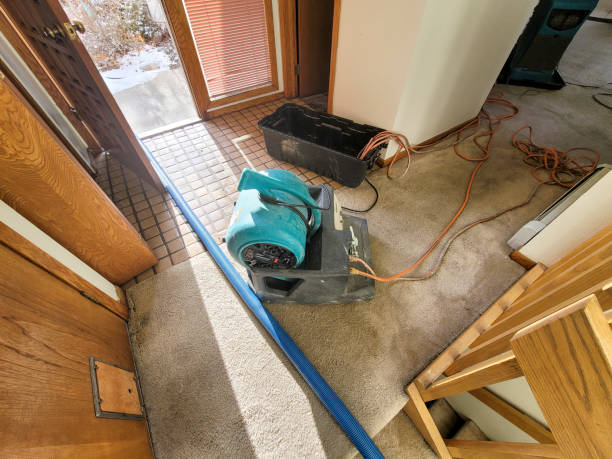 Best Flooded house restoration  in Albion, PA