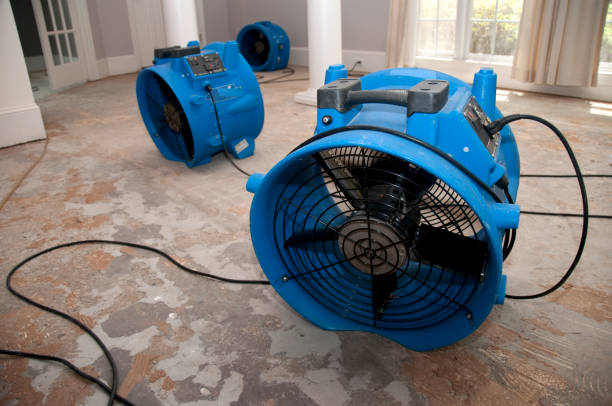 Best Local water damage restoration  in Albion, PA