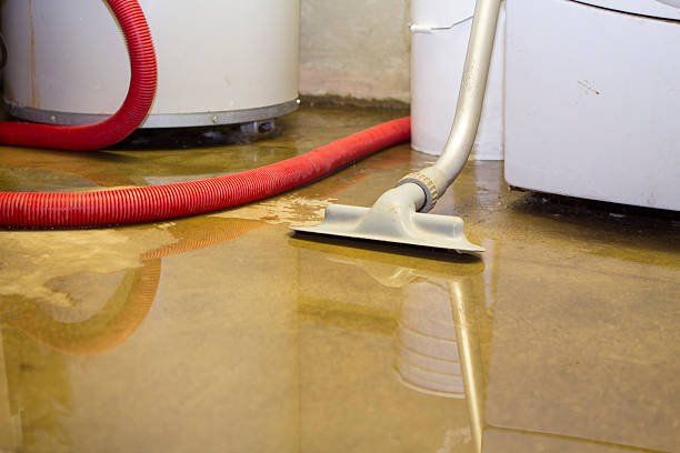 Best Water damage mitigation services  in Albion, PA