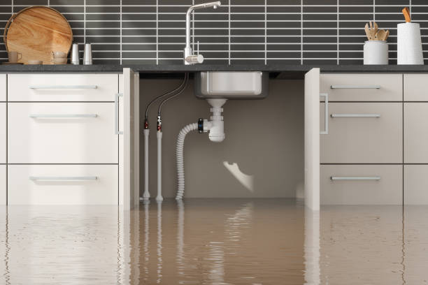 Best Basement water damage restoration  in Albion, PA