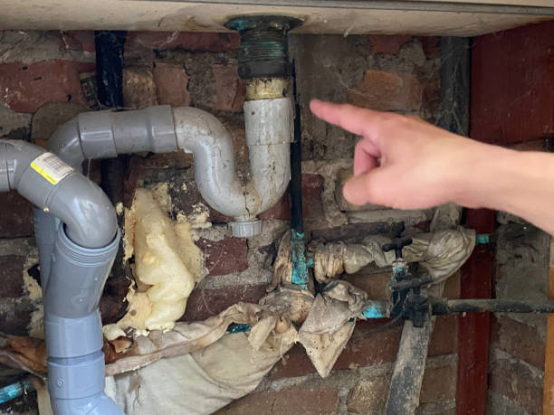 Carpet water damage restoration in Albion, PA